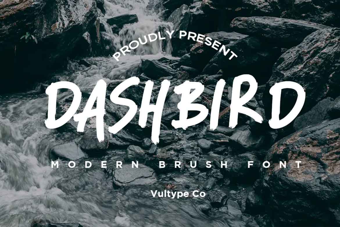 Dashbird Brush Font