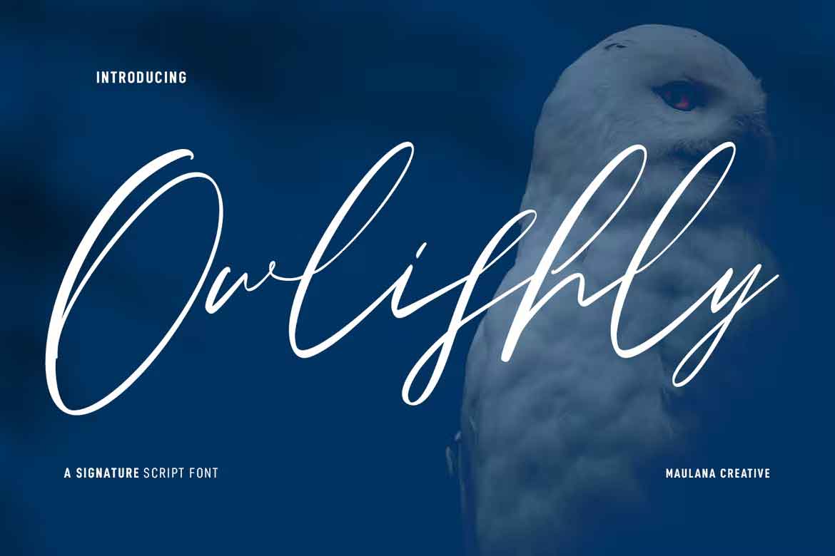 Owlishly Font