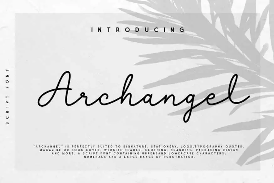 Archangel Monoline Script Font