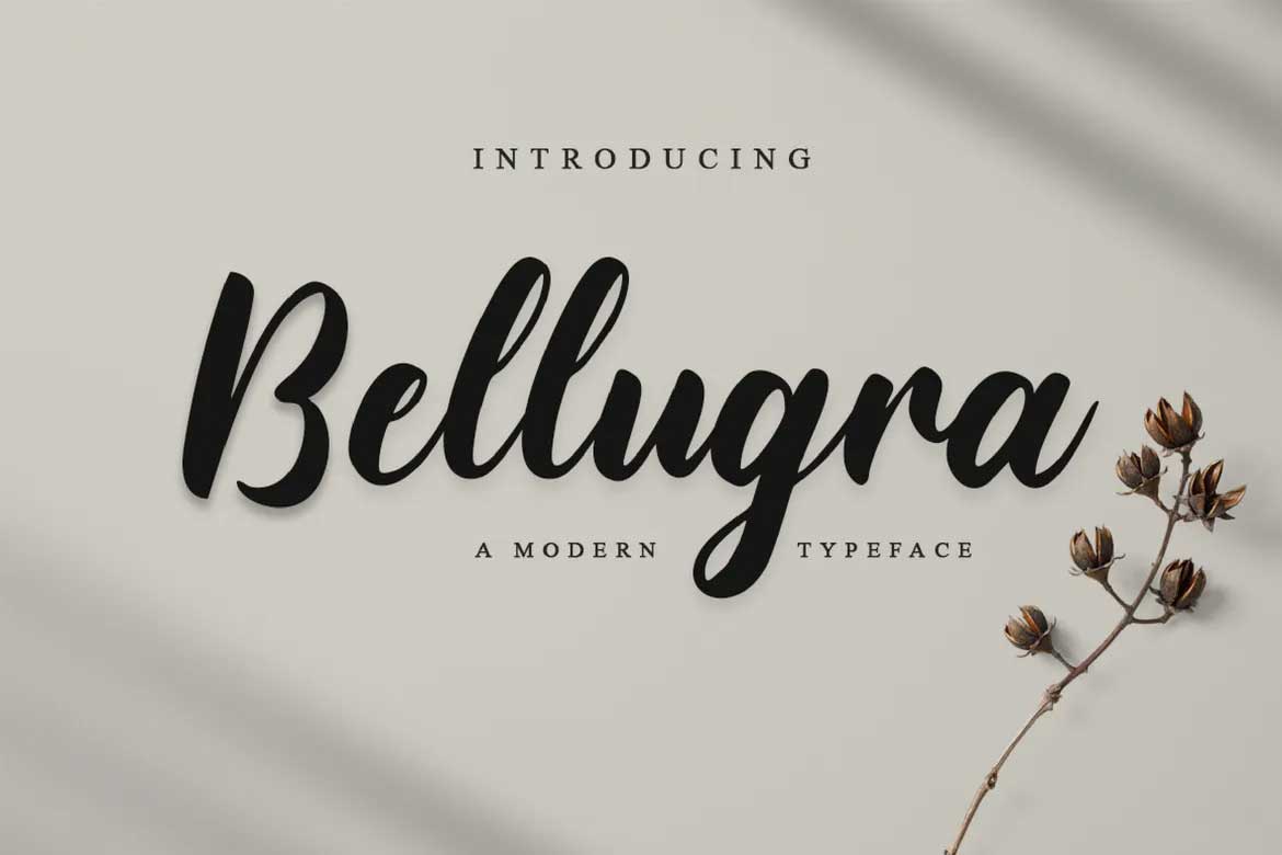 Bellugra Font