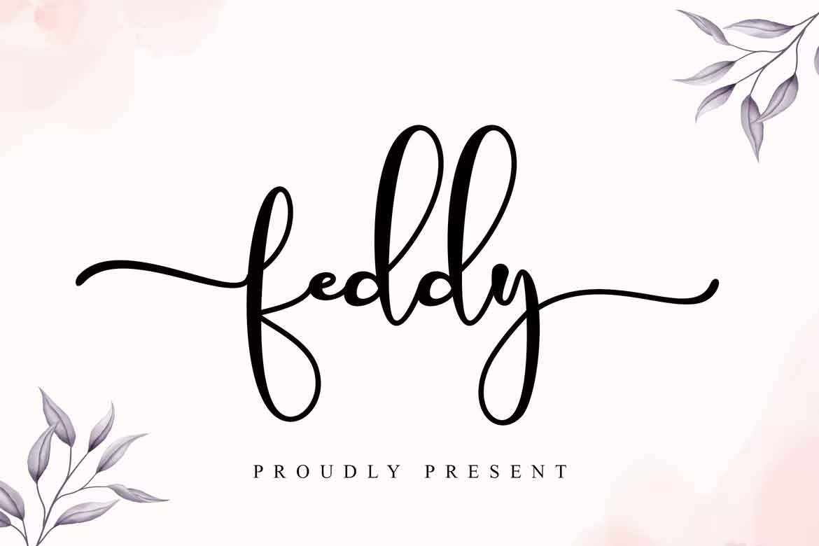 Feddy Font