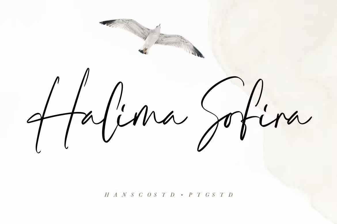 Halima Sofira Font