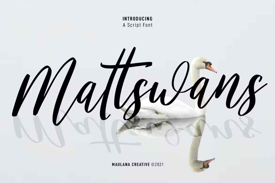 Mattswans Script Font