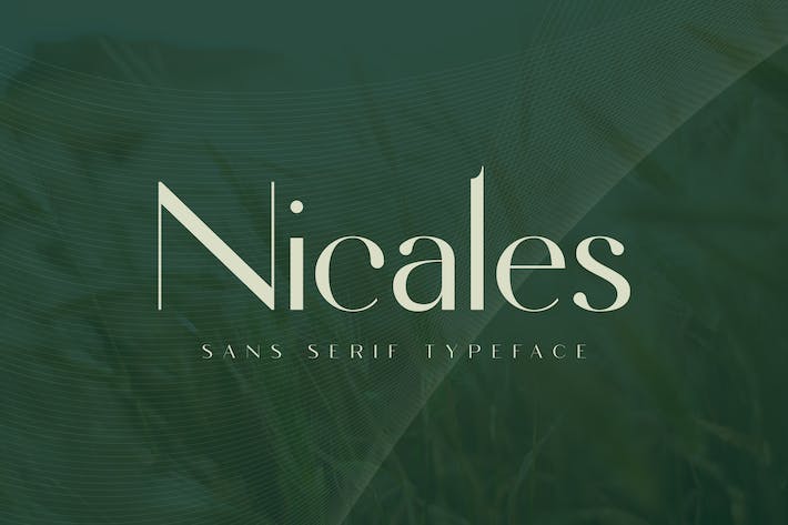 Nicales Font