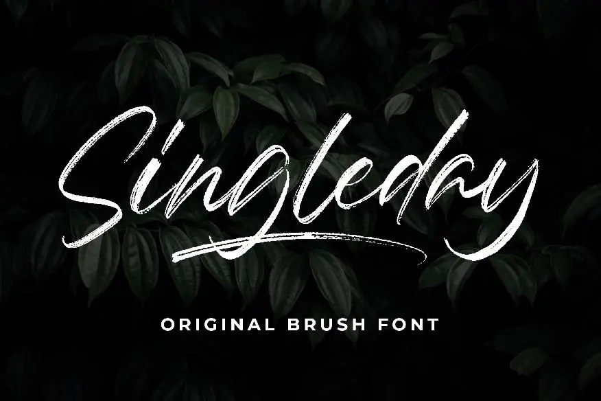 Singleday Brush Font