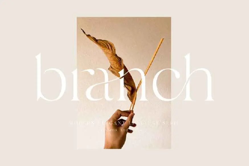 Branch