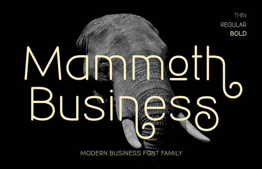 Mammoth Business Font Family