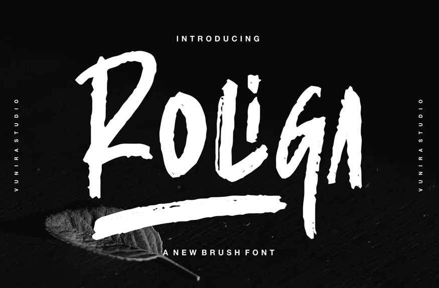 Roliga | A New Brush Font