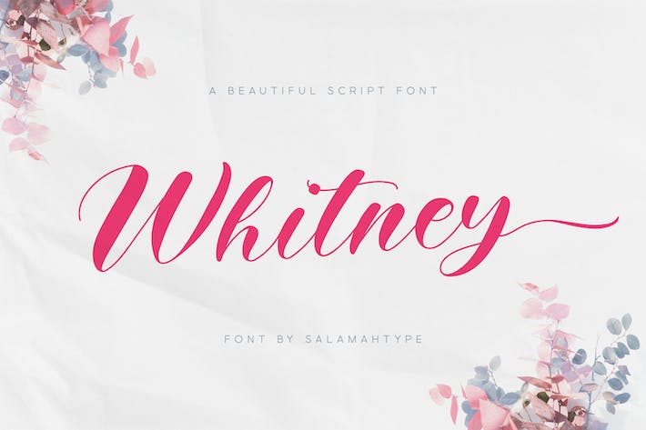 Whitney Font