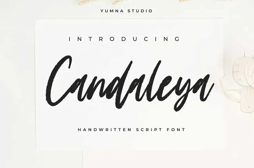 Candaleya - Modern Handwritten Font
