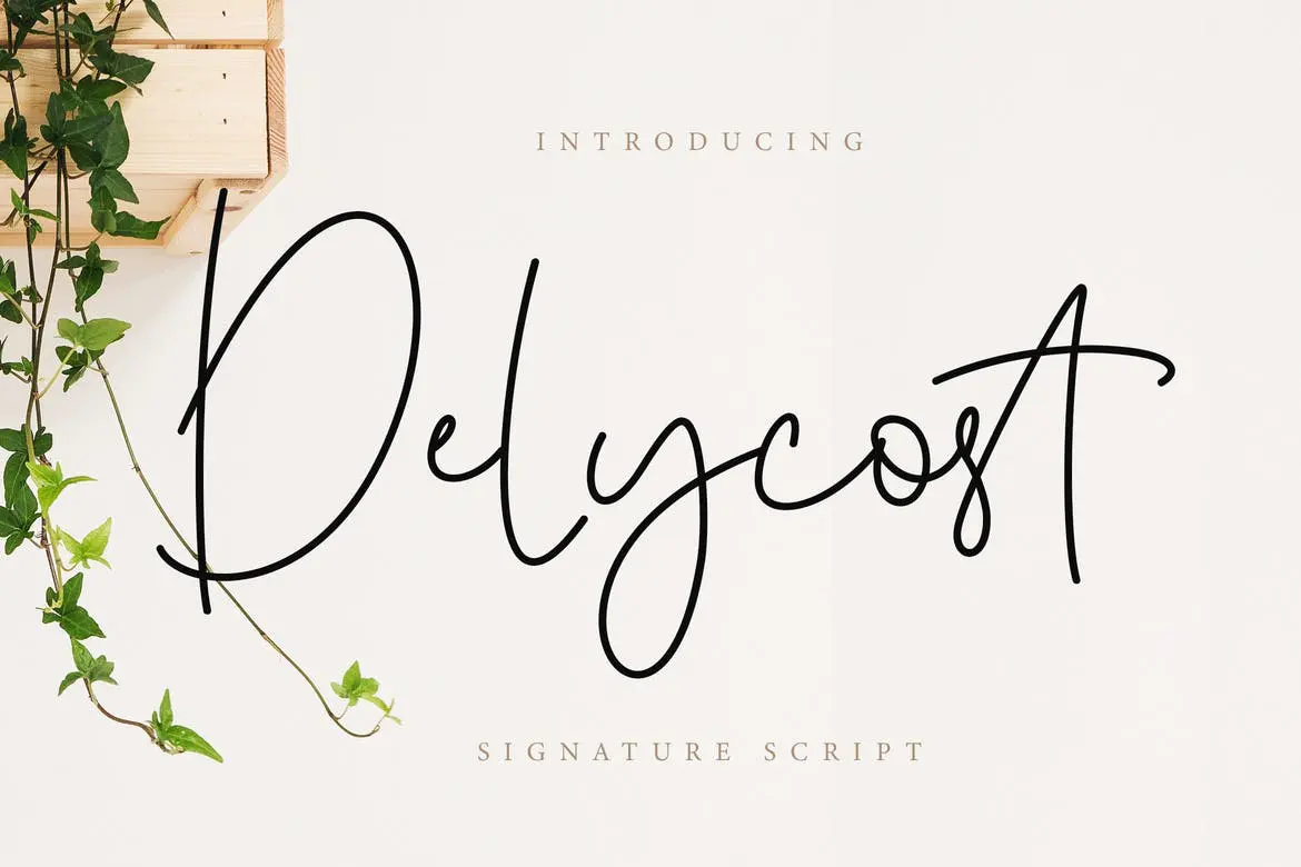 Delycost Signature Style