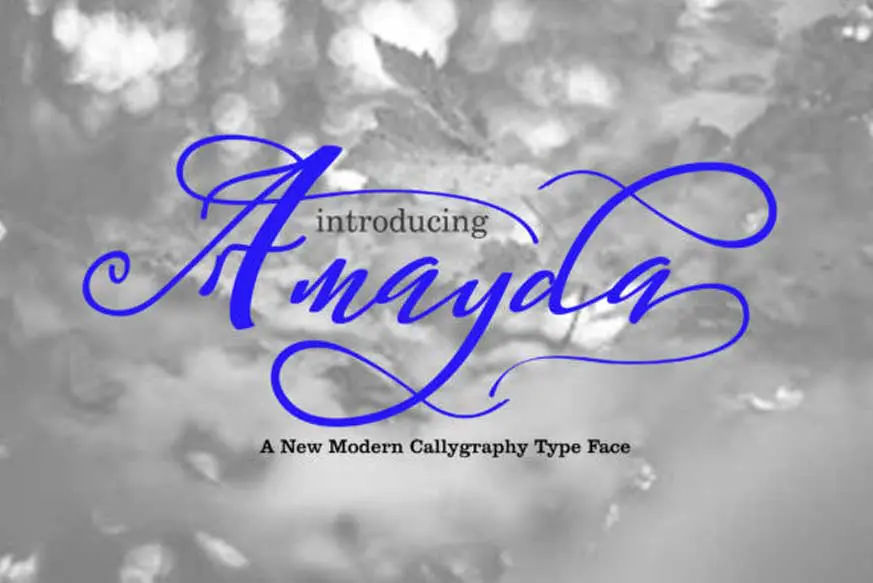 Amayda Font