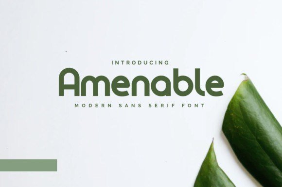 Amenable Font