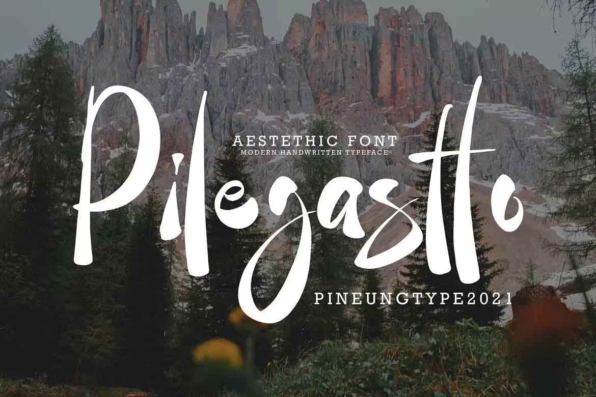 Pilegastto Font