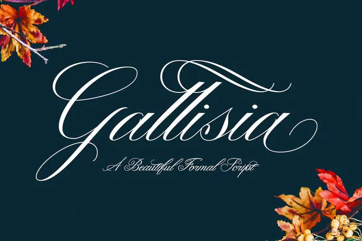 Gallisia Font