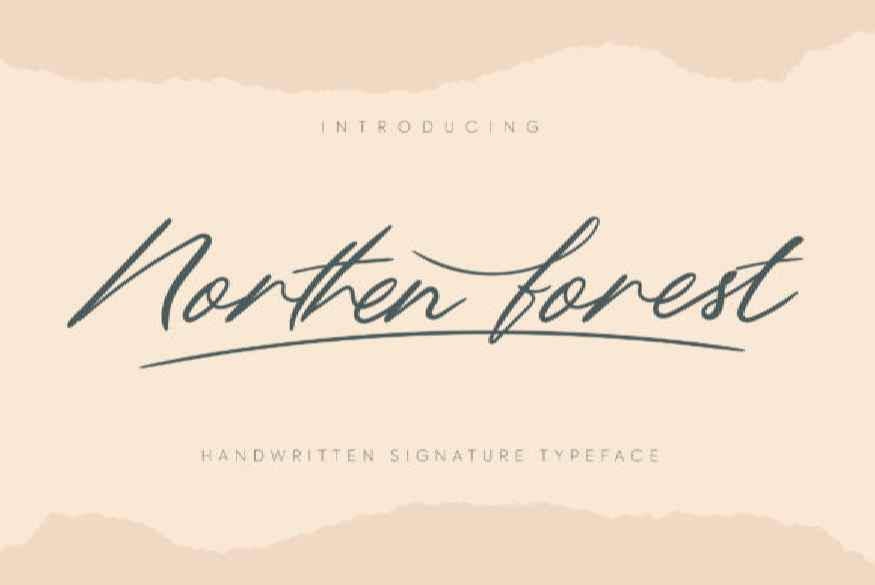 Northern Forest Font