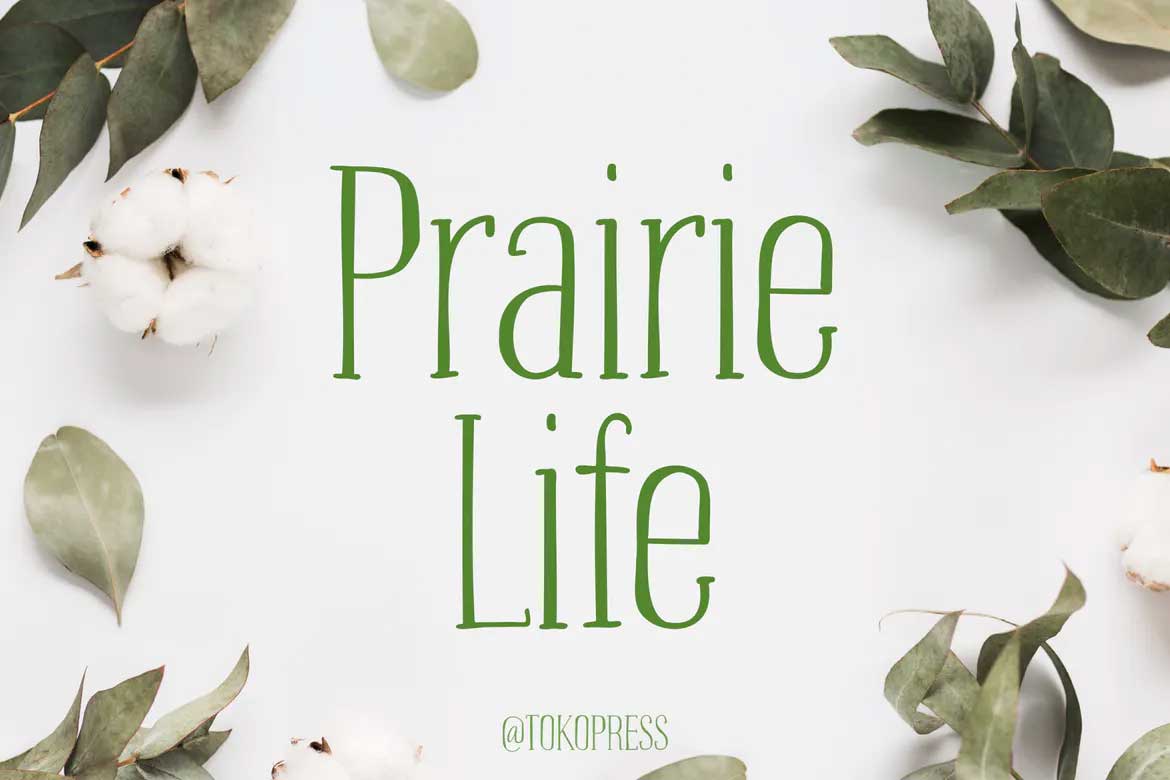 Prairie Life Font