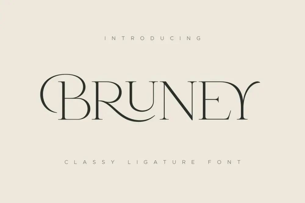 Bruney – Classy Ligature Font