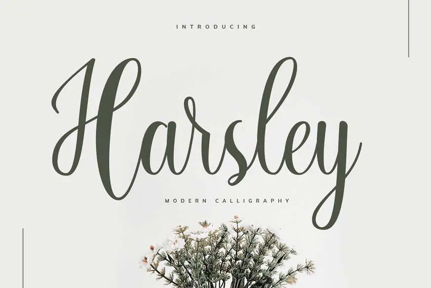 Harsley Font