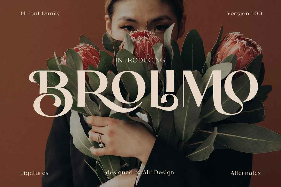 Bromilo Font Family