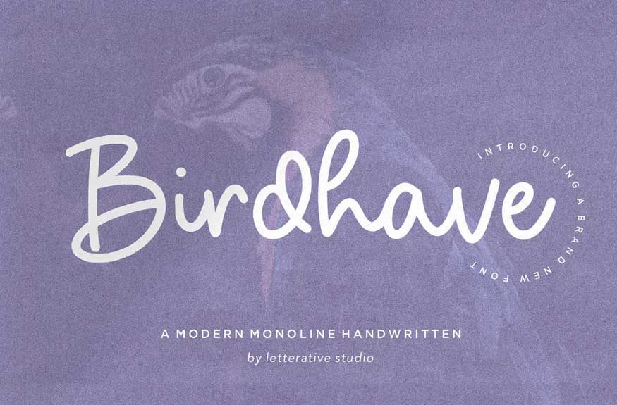 Birdhave Signature Font