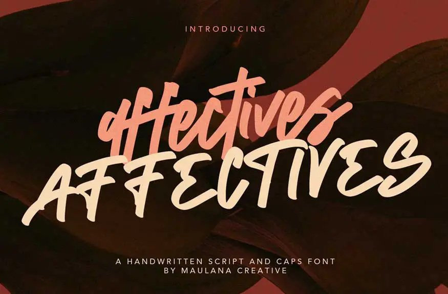 Affectives Handwritten Script Brush Font