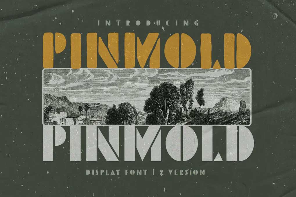 Pinmold Font