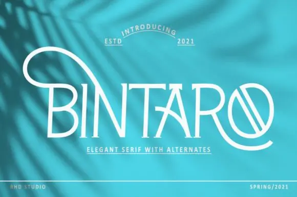 Bintaro Font