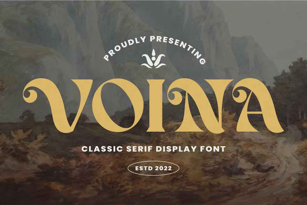 Voina Font