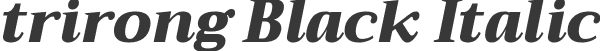 trirong Black Italic