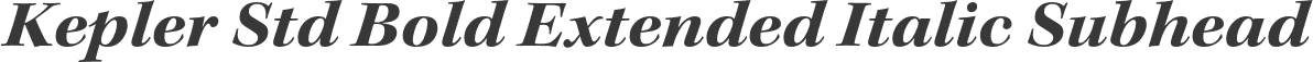 Kepler Std Bold Extended Italic Subhead