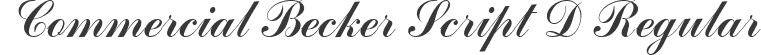 Commercial Becker Script D Regular