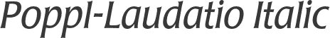 Poppl-Laudatio Italic