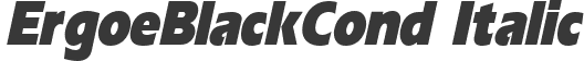 ErgoeBlackCond Italic