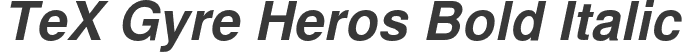 TeX Gyre Heros Bold Italic