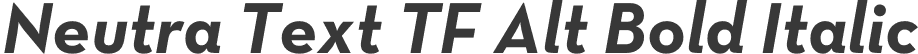 Neutra Text TF Alt Bold Italic