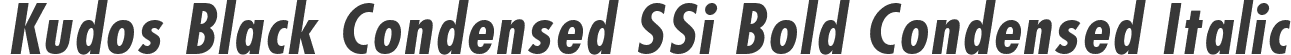 Kudos Black Condensed SSi Bold Condensed Italic