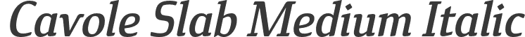 Cavole Slab Medium Italic