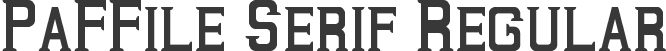 PaFFile Serif Regular