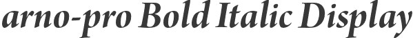 arno-pro Bold Italic Display