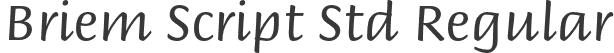 Briem Script Std Regular