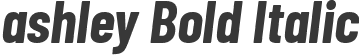 ashley Bold Italic