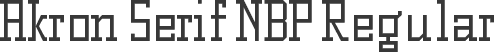 Akron Serif NBP Regular