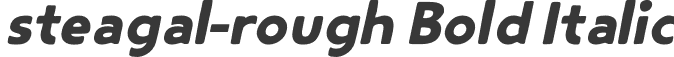 steagal-rough Bold Italic