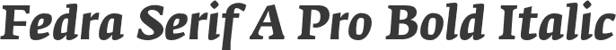 Fedra Serif A Pro Bold Italic