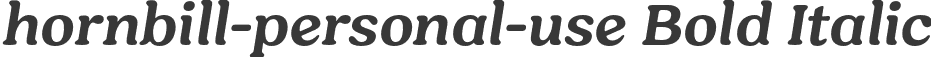 hornbill-personal-use Bold Italic