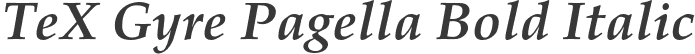 TeX Gyre Pagella Bold Italic