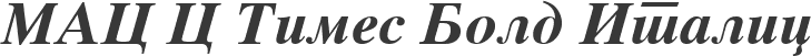 MAC C Times Bold Italic