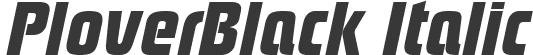 PloverBlack Italic