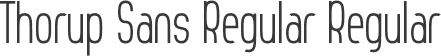 Thorup Sans Regular Regular
